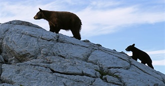 The 17 Most Photogenic Spots in Canada