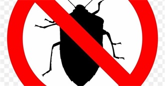 Common/Frequent Bugs/Insects