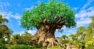 Disney World Food: Animal Kingdom Part 1