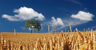 Cereal Cultivars