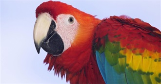 Fictional Albatrosses/Parrots/Macaws