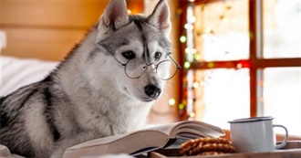 10 Adult Books With Animal Narrators