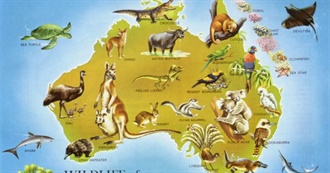 Most Typical Australian Animals