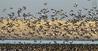 Important Bird Areas: Prairie Potholes &amp; Badlands