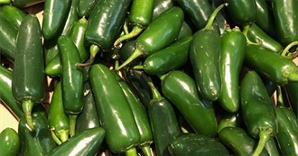 JOVIAL- JALAPENO (PEPPERS)