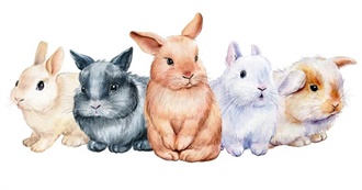 Books Containing Bunny Characters