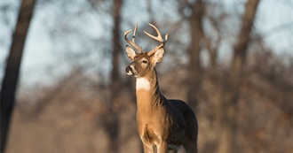 Ohio Protected Areas: State Wildlife Management Areas