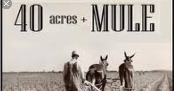 激レア 40a forty Acres and a Mule Filmworks+