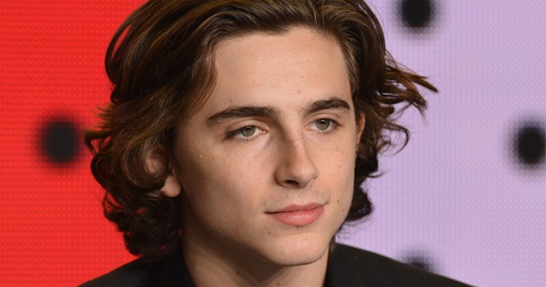 Timothée Chalamet @ Movies