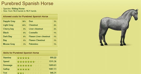 purebred spanish horse
